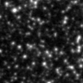 2021dlq_image