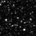 2021dls_image