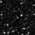 2021dlt_image