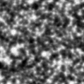 2021dlw_image