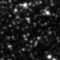 2021dlz_image