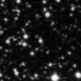 2021dmc_image
