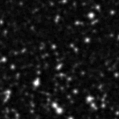2021dmd_image