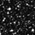 2021dmm_image