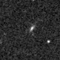 2021dna_image