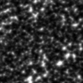 2021dns_image