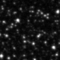 2021dnt_image