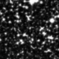 2021dnv_image