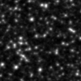 2021doi_image