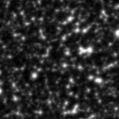 2021don_image