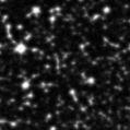 2021dop_image