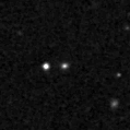 2021dpt_image