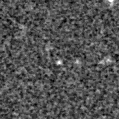 2021dqh_image