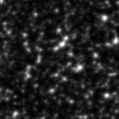 2021dst_image