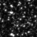 2021dtc_image