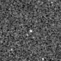 2021dtq_image