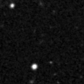 2021duk_image