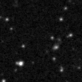 2021dvm_image