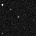 2021dvo_image