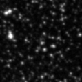 2021dvv_image