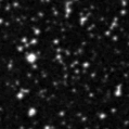 2021dwh_image