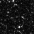 2021dzt_image
