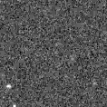 2021ebo_image