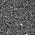 2021edr_image