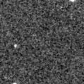 2021eep_image