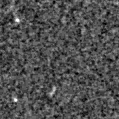 2021ege_image
