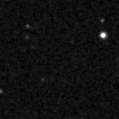 2021elk_image
