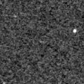 2021eoj_image