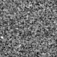 2021eql_image
