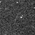 2021evd_image