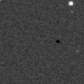 2021exp_image