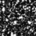 2021fbo_image