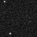 2021fbx_image
