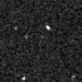 2021fdo_image