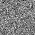 2021fdw_image