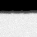 2021ffp_image