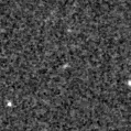 2021fig_image
