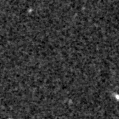 2021fir_image