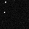 2021fjt_image