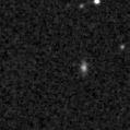 2021fld_image