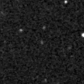 2021flk_image