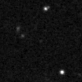 2021flt_image