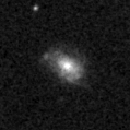 2021fmd_image