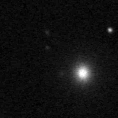 2021fnt_image