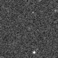 2021fob_image