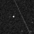 2021foc_image